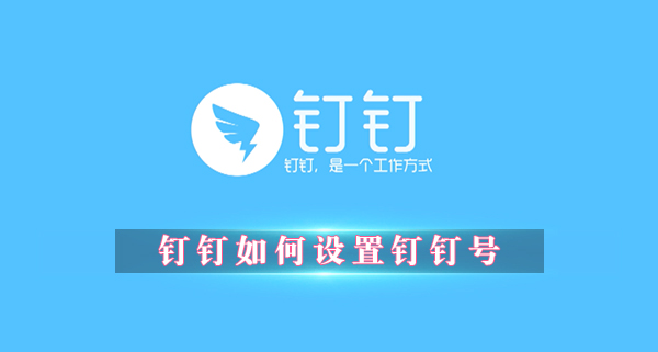 钉钉如何设置钉钉号