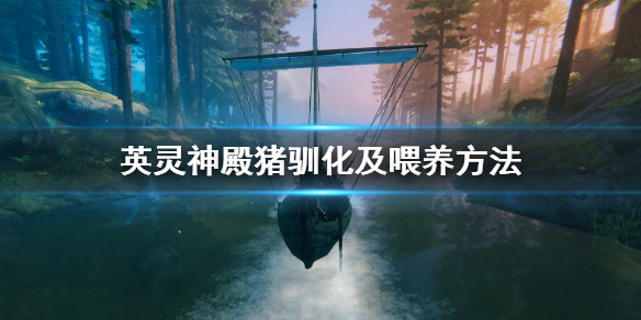英灵神殿猪能繁殖吗