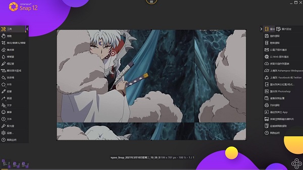 Ashampoo Snap 12注册码