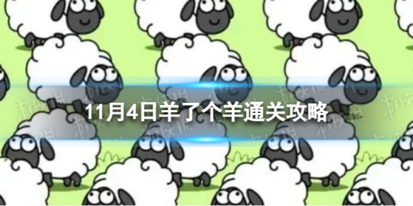 卓新教程网1