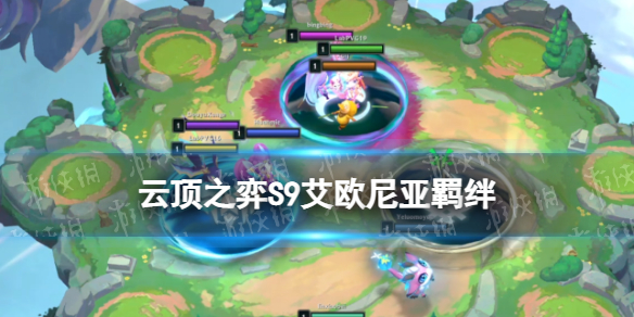 卓新教程网1