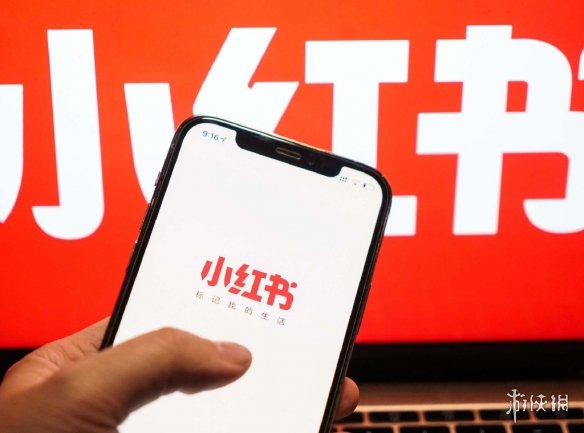 卓新教程网4