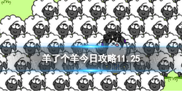 卓新教程网1