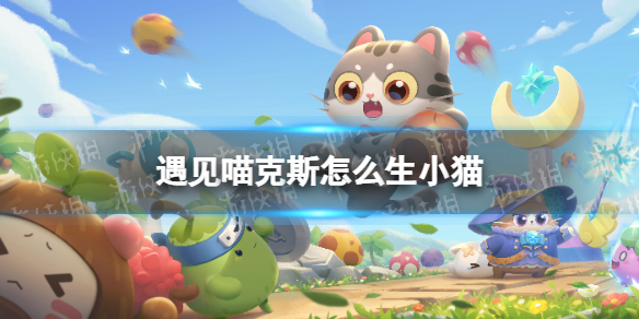 遇见喵克斯怎么生小猫 遇见喵克斯生小猫方法