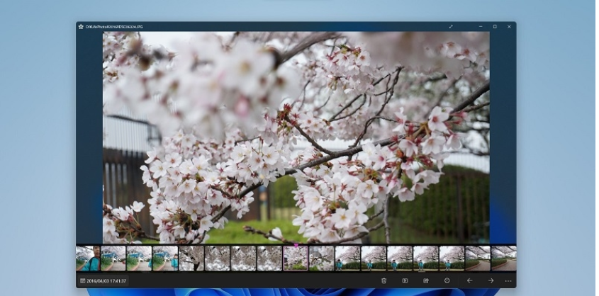 Sakura图片浏览器|Android图片浏览器