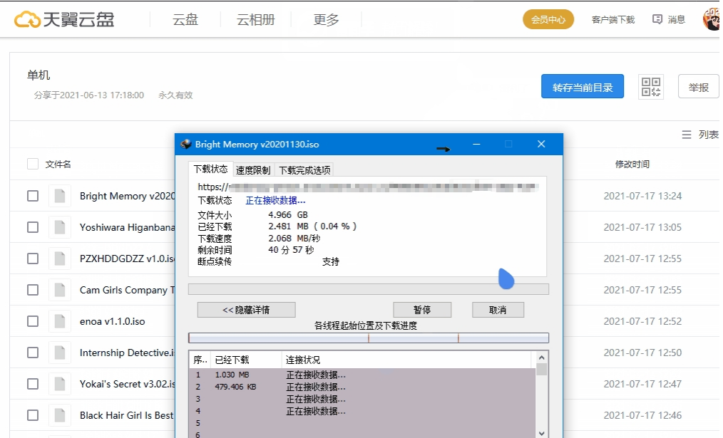 雷利子(雷利子公司)