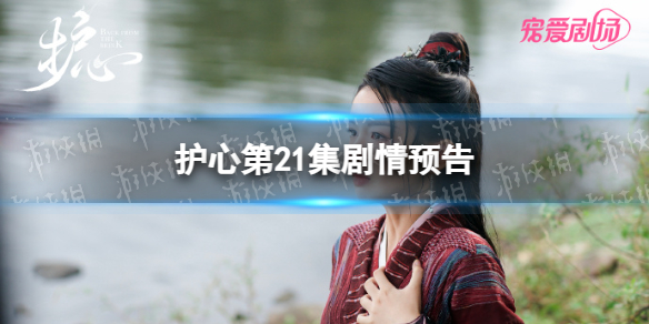 护心21集预告 护心电视剧21集剧情预告