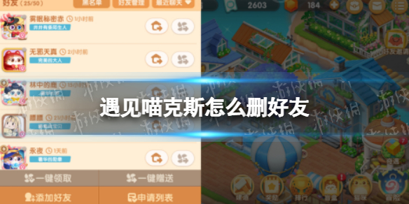 遇见喵克斯怎么删好友 遇见喵克斯删好友方法