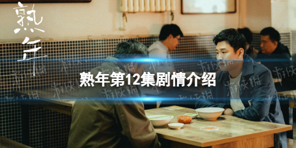 熟年12集剧情介绍 电视剧熟年分集剧情介绍第12集