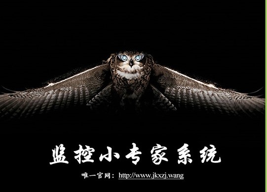 监控小专家电脑版截图1