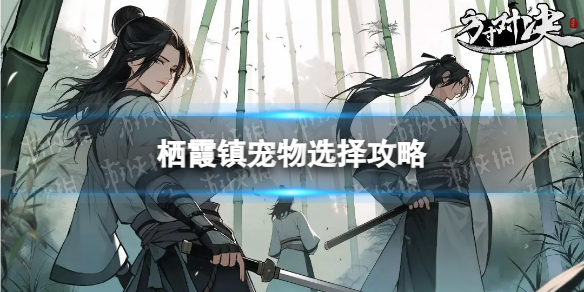 卓新教程网1