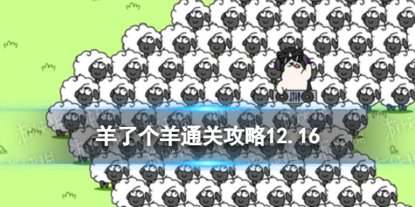 卓新教程网1