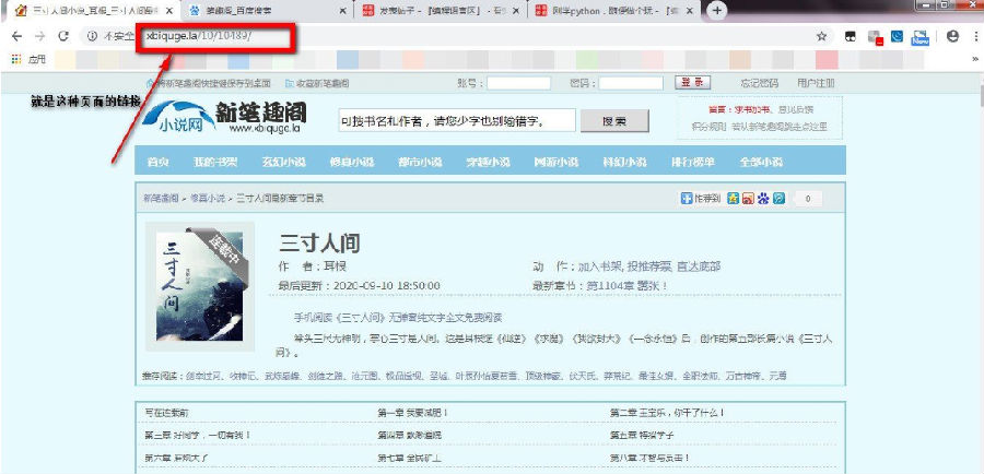 笔趣阁小说爬取工具|笔趣阁小说免费阅读网站