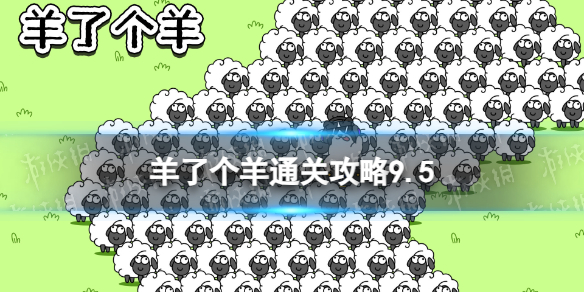 卓新教程网1
