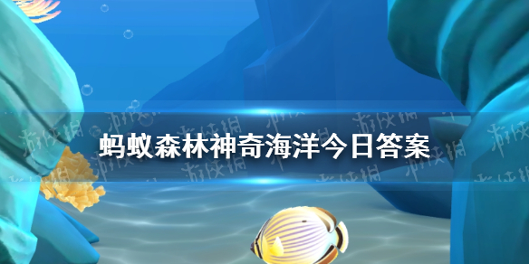 卓新教程网1
