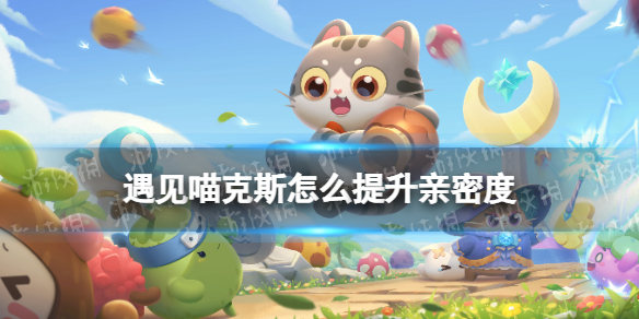 遇见喵克斯怎么提升亲密度 遇见喵克斯亲密度提升方法