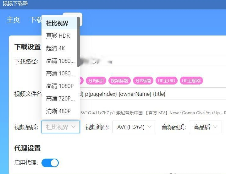 鼠鼠下载器绿色版(下载B站视频)下载-鼠鼠下载器绿色版(下载B站视频)免费版下载v1.1.1